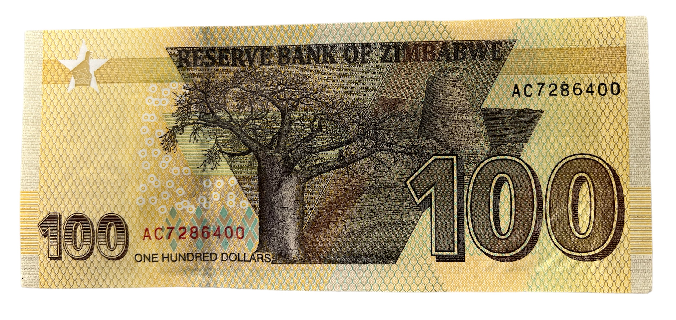 Zim2020.100.REV